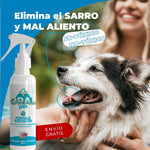 OralPet™ Dile Adiós Al Sarro - Limpieza bucal para mascotas con envío gratis 🎁